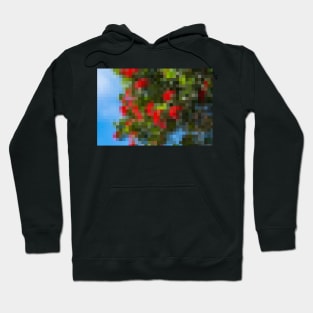 Bright red flowers on trees mosaic against blue sky Hoodie